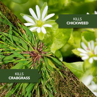 Lawn Weed & Crabgrass Killer, BioAdvanced, 40 oz - 2