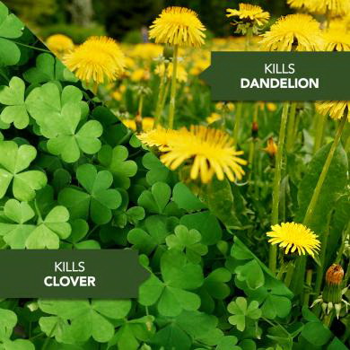 Lawn Weed & Crabgrass Killer, BioAdvanced, 40 oz - 3