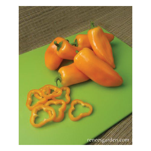 Vegetable Seed, Renee's Garden, Baby Snack Peppers Yummy Belles, 0.11 g Pack - 2