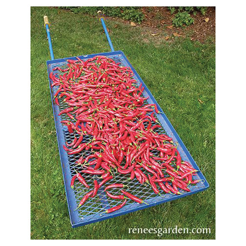 Vegetable Seed, Renee's Garden, Traditional Chile Peppers Tibetan Lhasa, 0.16 g Pack - 5