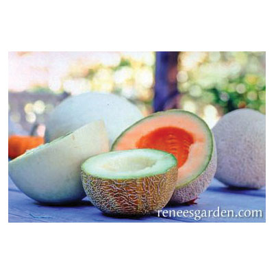 Vegetable Seed, Renee's Garden, Three Flavor Melons Galia, Honeydew & Cantaloupe, April to June Planting, 0.75 g - 2