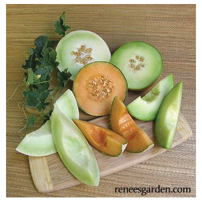 Vegetable Seed, Renee's Garden, Three Flavor Melons Galia, Honeydew & Cantaloupe, April to June Planting, 0.75 g - 3