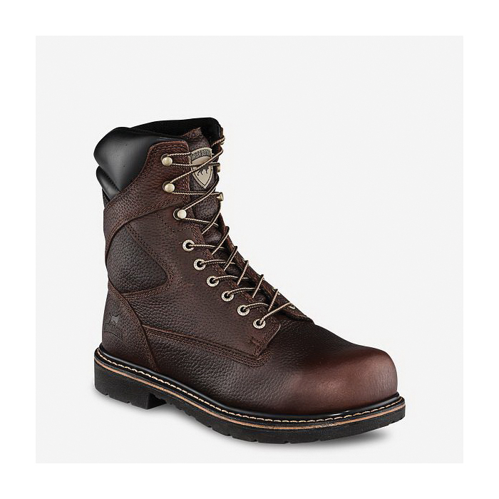 Irish Setter 83824