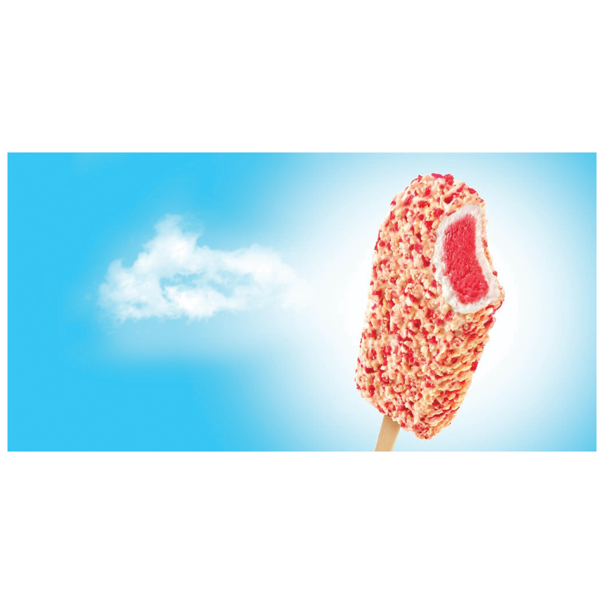 DRUMSTICK 6395