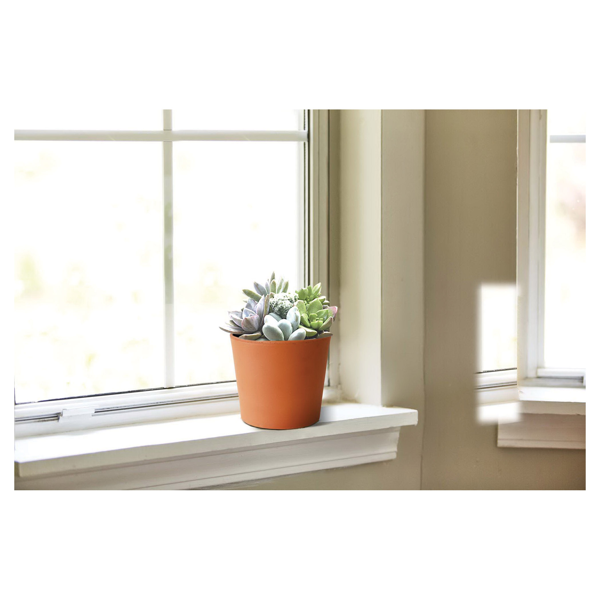 Terra Cotta Pot, Southern Patio, 6-1/2 in Dia, 5.6 in H, 6-1/2 in W, 6-1/2 in D, Round, Flair Cylinder Design, Clay, - 2