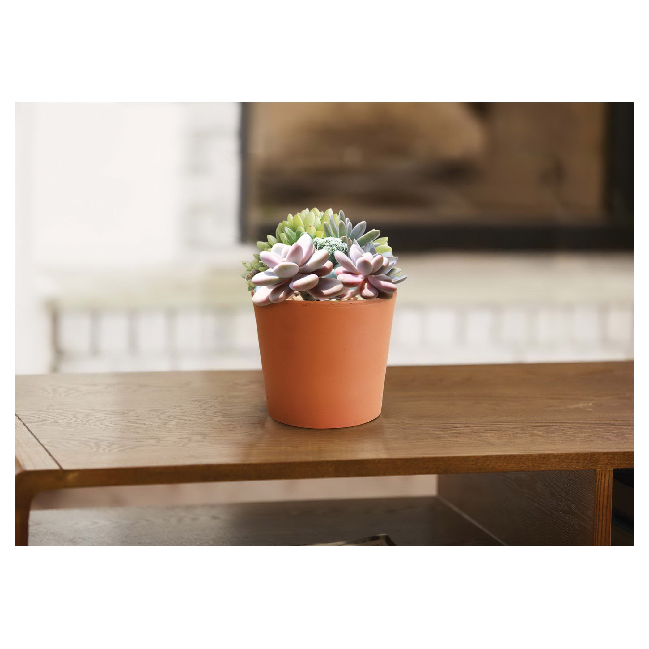 Terra Cotta Pot, Southern Patio, 6-1/2 in Dia, 5.6 in H, 6-1/2 in W, 6-1/2 in D, Round, Flair Cylinder Design, Clay, - 3