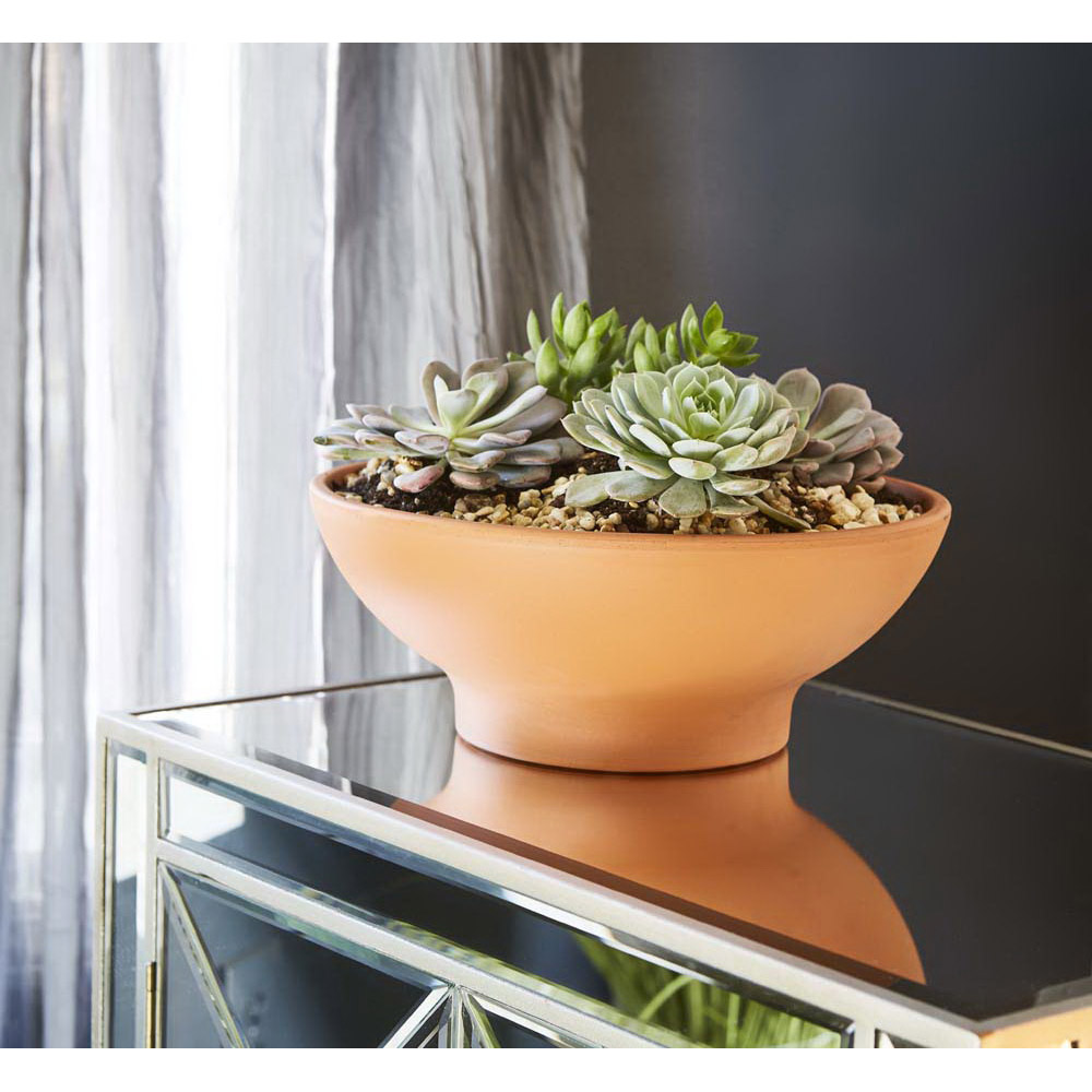 Planter, Southern Patio, 13 in Dia, 4.7 in H, 12.4 in W, 12.4 in D, Round, Low Bowl Design, Clay, Terracotta - 2
