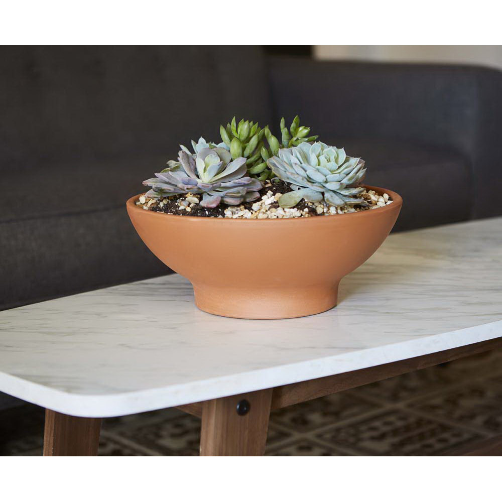 Planter, Southern Patio, 13 in Dia, 4.7 in H, 12.4 in W, 12.4 in D, Round, Low Bowl Design, Clay, Terracotta - 3