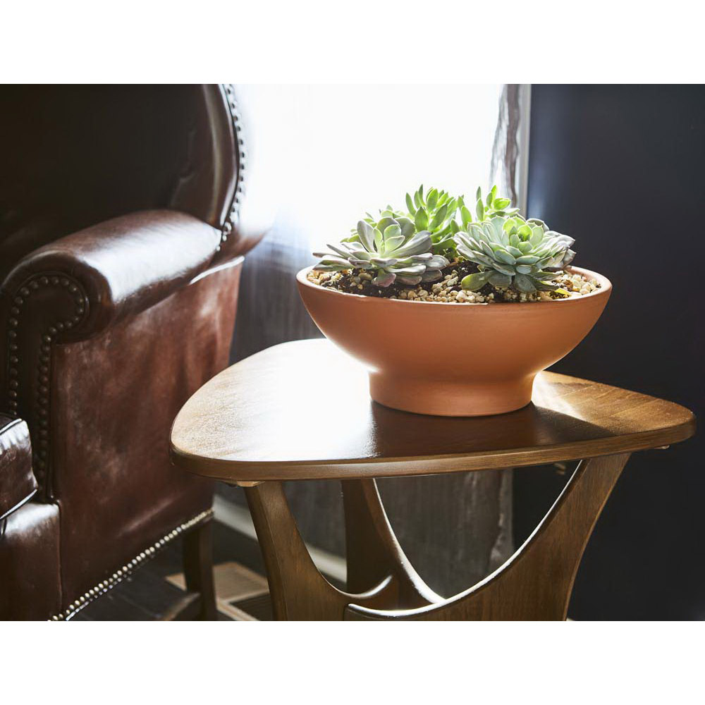 Planter, Southern Patio, 13 in Dia, 4.7 in H, 12.4 in W, 12.4 in D, Round, Low Bowl Design, Clay, Terracotta - 4