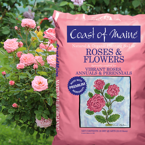 Coast of Maine 1CBRFS20QT Roses and Flowers Soil, 20 qt - 2