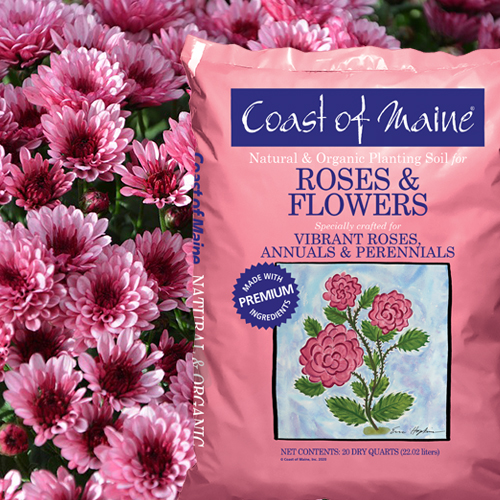 Coast of Maine 1CBRFS20QT Roses and Flowers Soil, 20 qt - 4