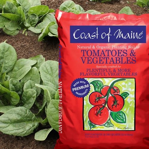 Coast of Maine 1CBTVS20QT Tomatoes and Vegetables Soil, 20 qt - 2