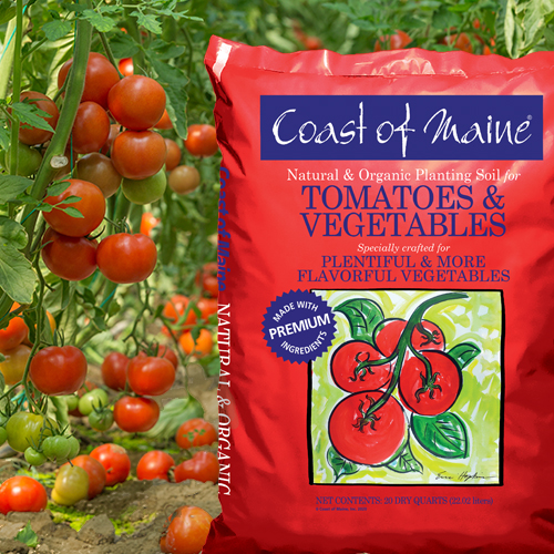 Coast of Maine 1CBTVS20QT Tomatoes and Vegetables Soil, 20 qt - 3