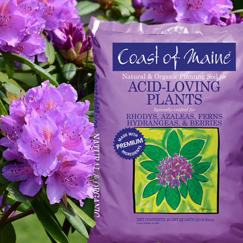 Coast of Maine 1CBALS20QT Acid-Loving Plants Soil, 20 qt - 2