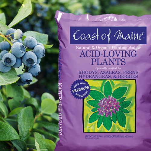 Coast of Maine 1CBALS20QT Acid-Loving Plants Soil, 20 qt - 3