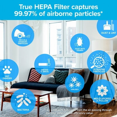 Air Purifier Filter, Filtrete, F1, 12 in L, 6-3/4 in W, Plastic Frame, White - 3