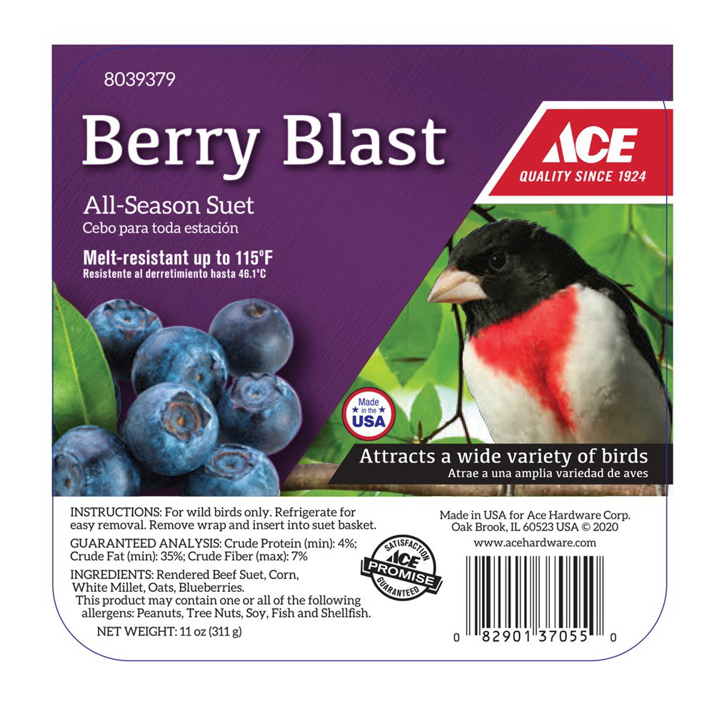 ACE Berry Blast ACE12527 Bird Suet, 11 oz Box - 2