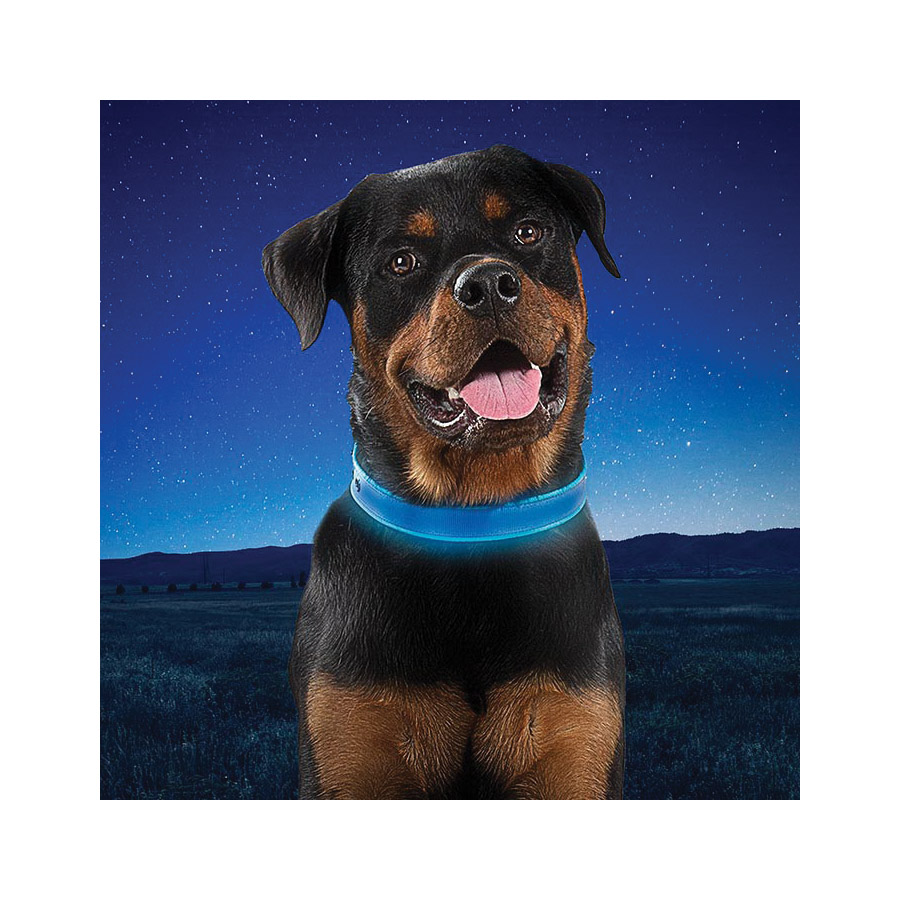 Nite Ize NITEDOG NDCRL-03-R3 Rechargeable Dog Collar, 20 to 24 in Neck, 26.14 in L Collar, 1-1/2 in W Collar, Blue - 4