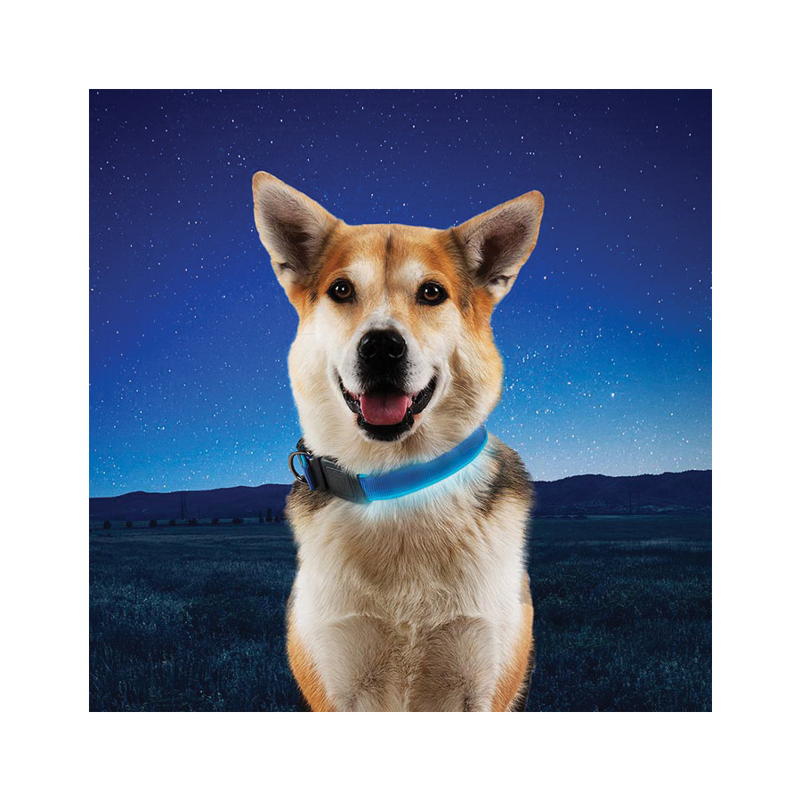 Nite Ize NITEDOG NDCRL-03-R3 Rechargeable Dog Collar, 20 to 24 in Neck, 26.14 in L Collar, 1-1/2 in W Collar, Blue - 5