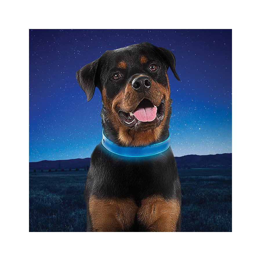 Nite Ize NITEDOG NDCRM-03-R3 Rechargeable Dog Collar, 16 to 20 in Neck, 22.13 in L Collar, 1-1/2 in W Collar, Blue - 4