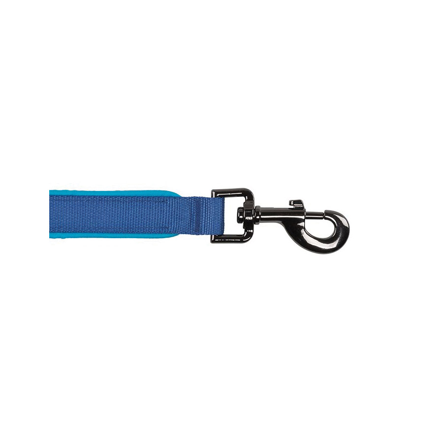 Nite Ize NITEDOG NDLR-03-R3 Rechargeable LED Dog Leash, 5 ft L, 1-1/2 in W, Nylon Line, Blue - 3