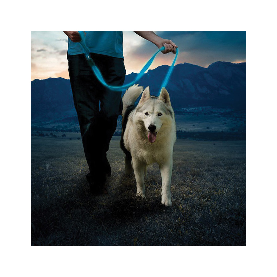 Nite Ize NITEDOG NDLR-03-R3 Rechargeable LED Dog Leash, 5 ft L, 1-1/2 in W, Nylon Line, Blue - 5