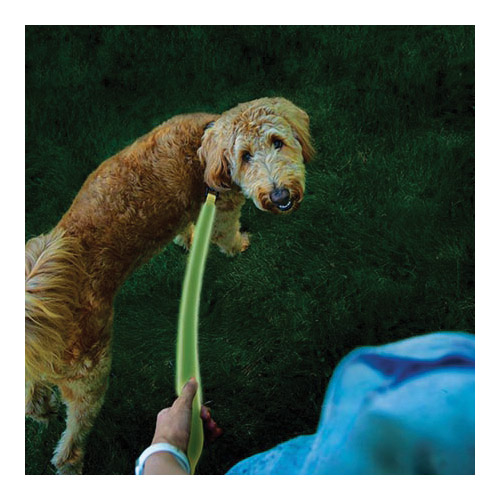 Nite Ize NITEDOG NDLR-17-R3 Rechargeable LED Dog Leash, 5 ft L, 1-1/2 in W, Nylon Line, Green/Lime - 5