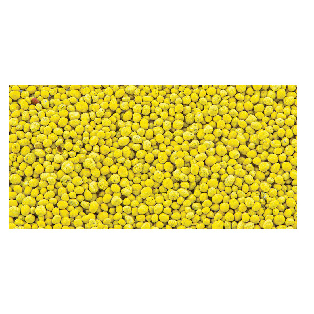 Evolved Radish Pro Series EVO82001 Food Plot Additive, 1 lb - 3