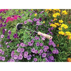 TIERRA garden DeWit 31-0907 Disc Weeder, 2-3/4 in W Blade, Boron Steel Blade, Ash Hardwood Handle - 2