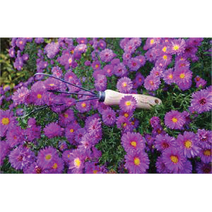 TIERRA garden DeWit 31-3055 Spring Tine Cultivator, 3 in W, 12 in L, Ash Hardwood Handle - 2