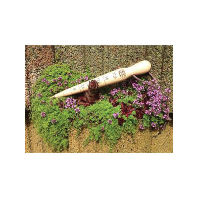 TIERRA garden DeWit 31-3087 Dibber with Tip, Wood Head, 12 in OAL - 2