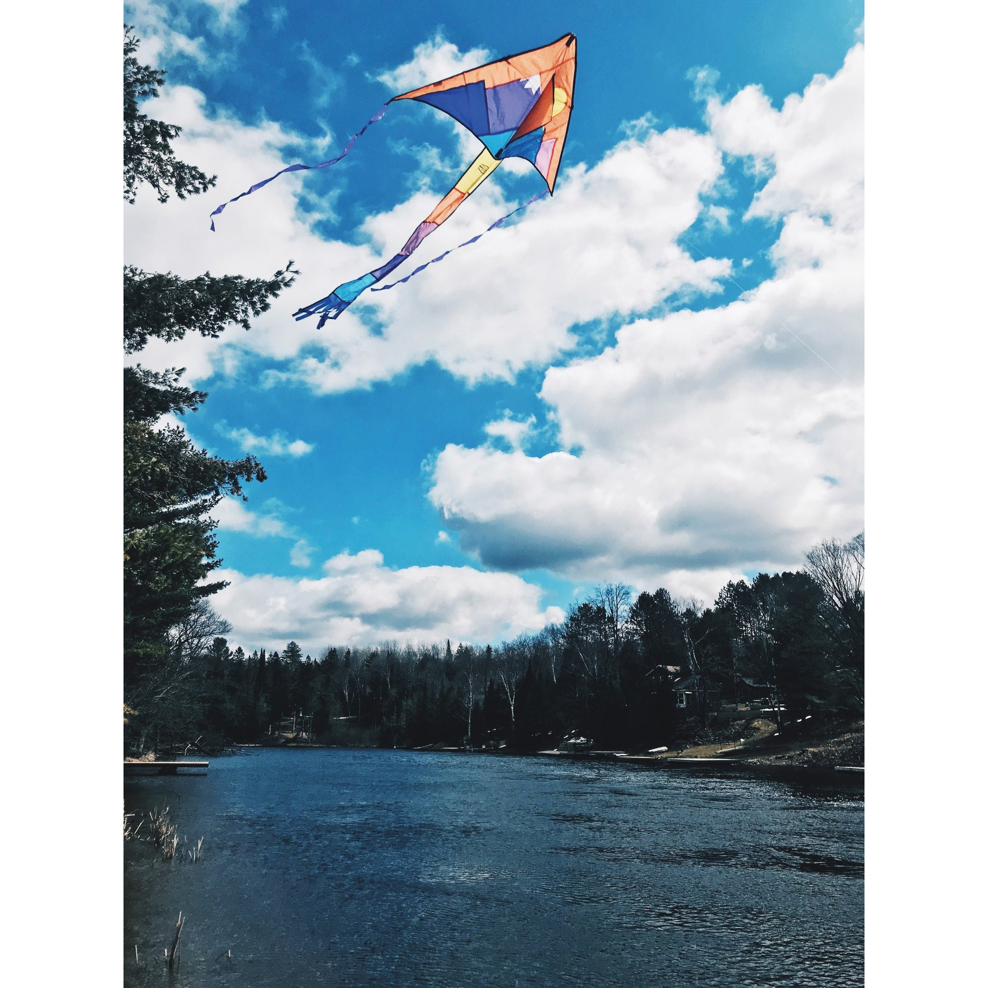 Outside Inside 99986 Freestyle Delta Kite, 3 years and Up, Fiberglass/Nylon - 4