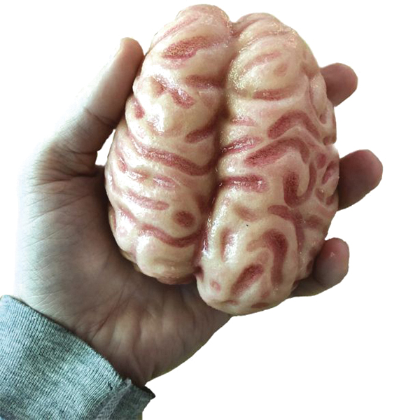 Copernicus SPLBRAIN Swell Polymer Brain - 3