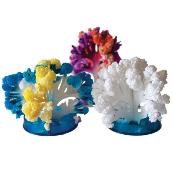 Copernicus TFCORL Crystal Growing Coral Reef - 3