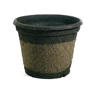 Western Pulp Products Company 1039-062