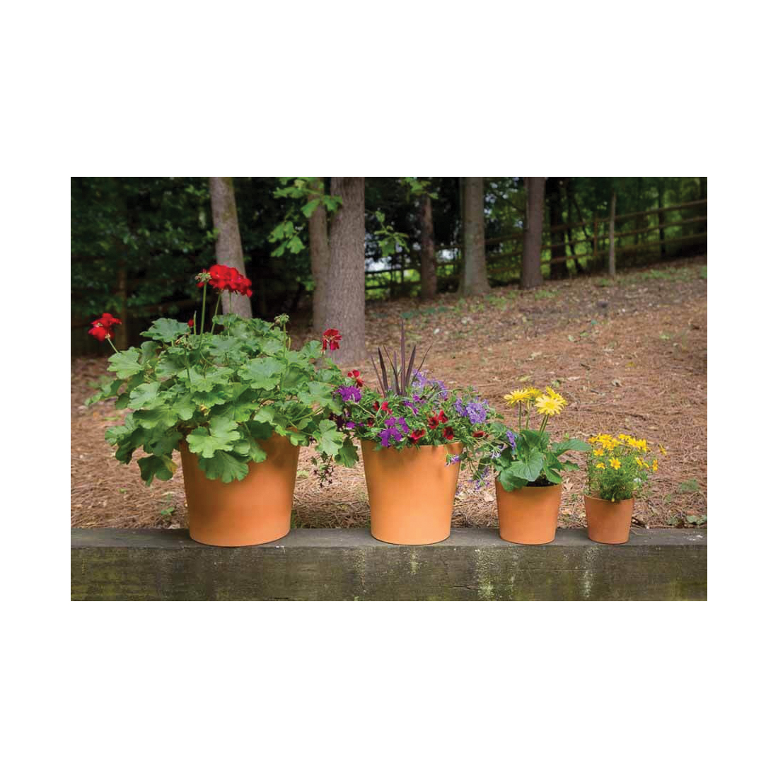 Pennington 100523385 Pot, 4.2 in H, 4.7 in W, 4.7 in D, Wide, Cabo Flair Design, Terracotta Clay, Terracotta