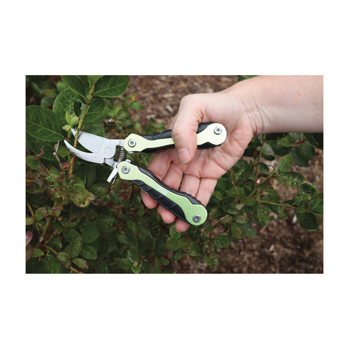 Accusharp 084C Gardener's Multi-Tool, Metal, Compact Handle - 4