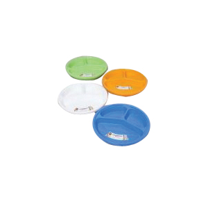 REGENT PRODUCTS 41602P