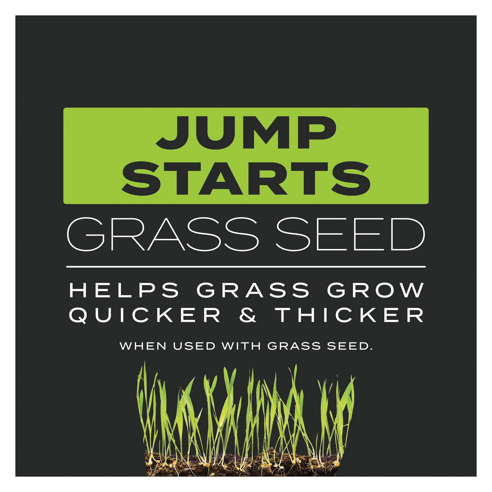 Scotts Turf Builder 23002 Triple-Action Lawn Fertilizer, 4.3 lb Bag, Solid, 21-22-4 N-P-K Ratio - 3