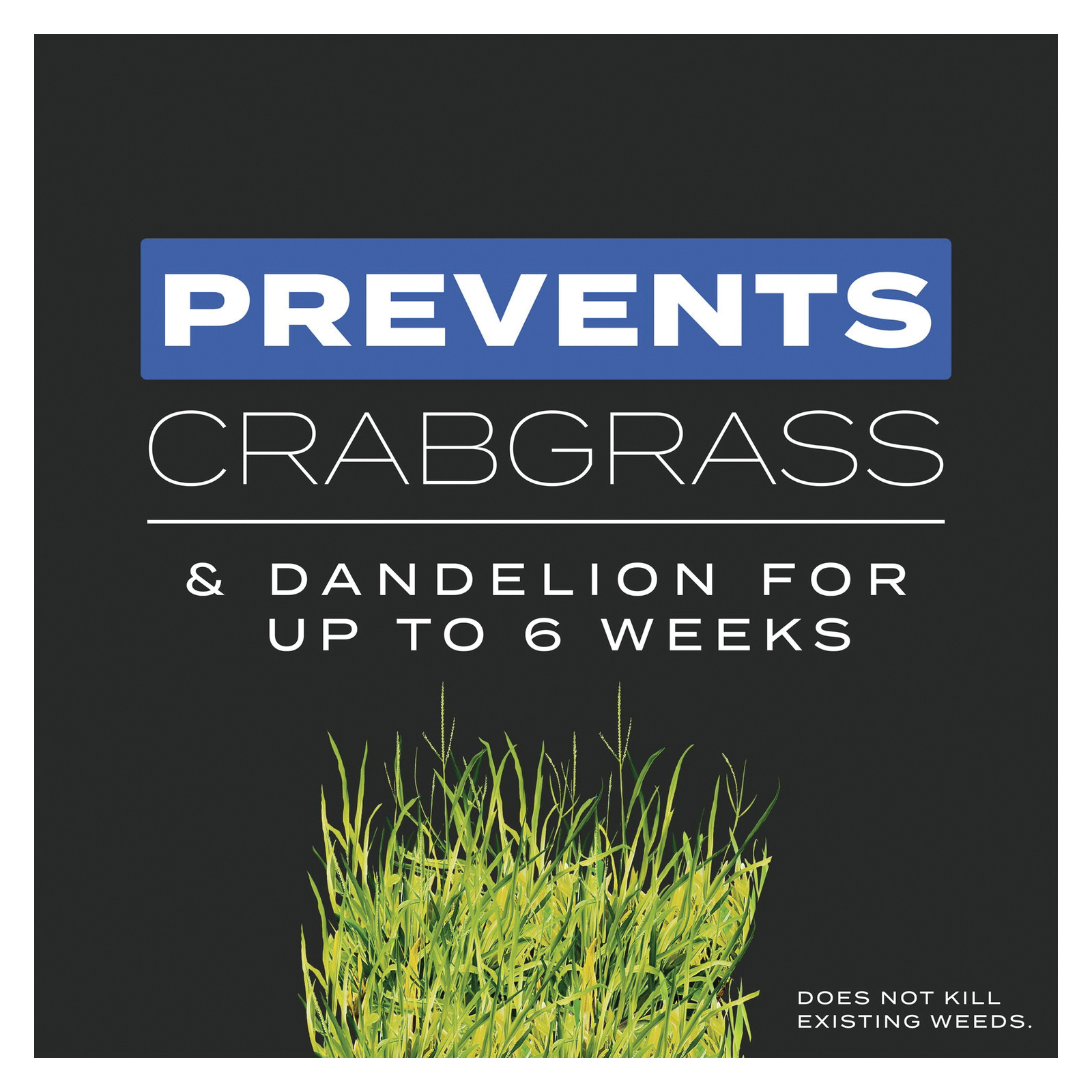 Scotts Turf Builder 23002 Triple-Action Lawn Fertilizer, 4.3 lb Bag, Solid, 21-22-4 N-P-K Ratio - 4