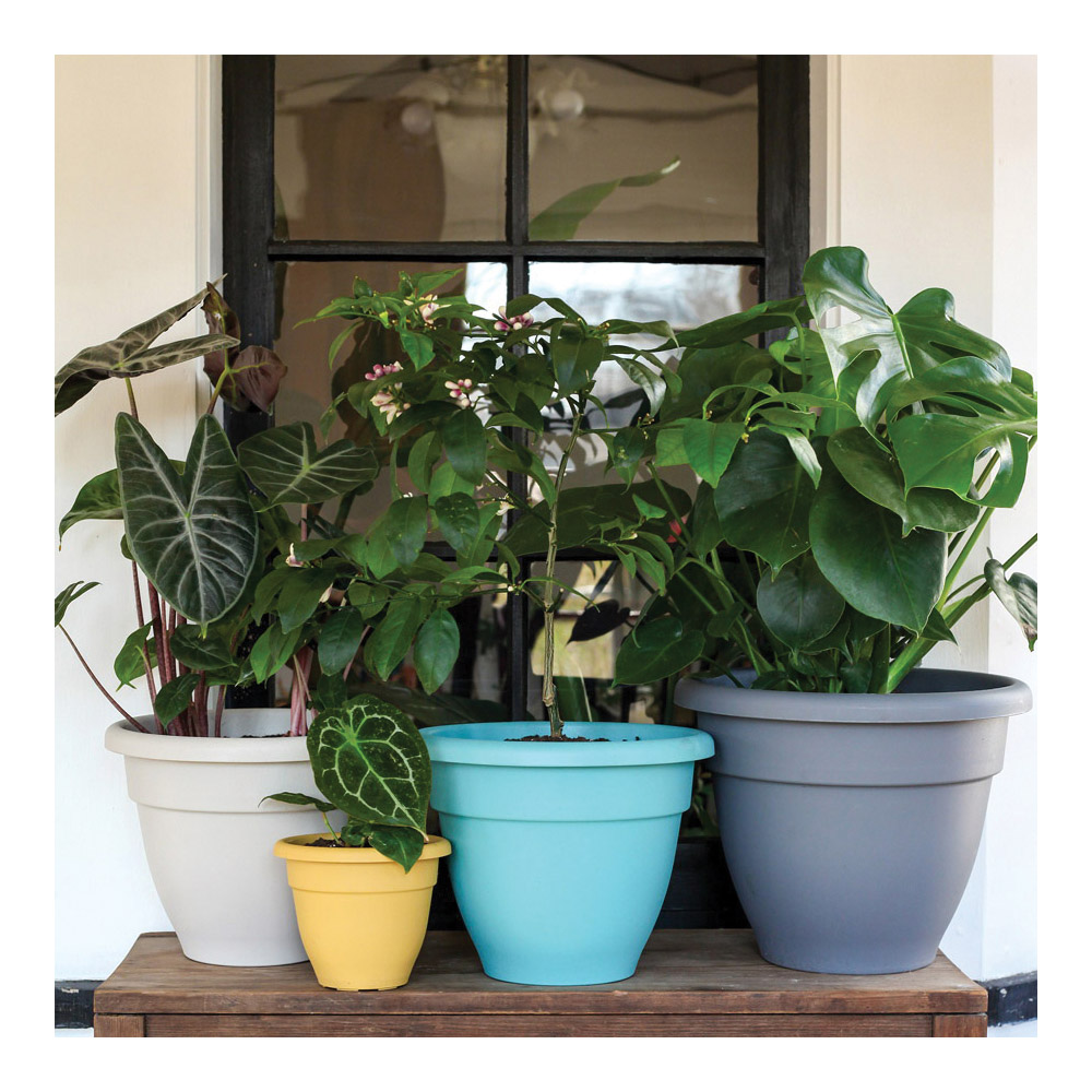 HC Companies CNA08000CXX Caribbean Planter, 8-1/2 in Dia, 6-3/4 in H, Round, Honey