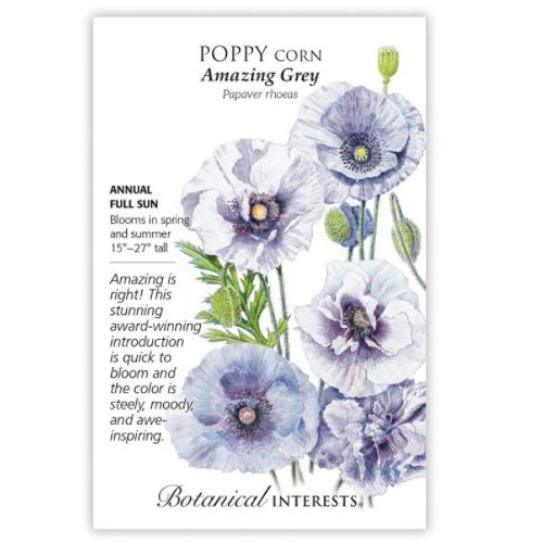 Botanical Interests 1281 Poppy Corn Seed, Corn Poppy, Papaver Rhoeas, Spring to Summer Bloom, 50 mg