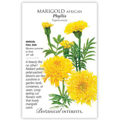 Botanical Interests 1239 Phyllis African Marigold Seed, Marigold, Tagetes Erecta, Summer to Frost Bloom, 100 mg