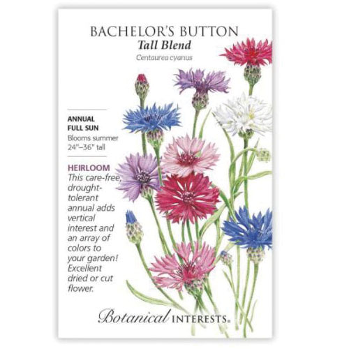 Botanical Interests 2058 Tall Blend Bachelor's Button Seed, Bachelor's Button, Centaurea Cyanus, Summer Bloom, 500 mg