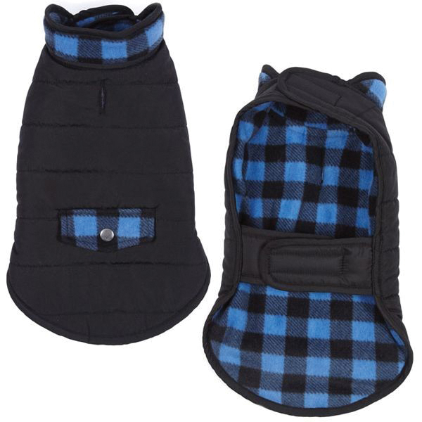 CASUAL CANINE ZM1746 10 19