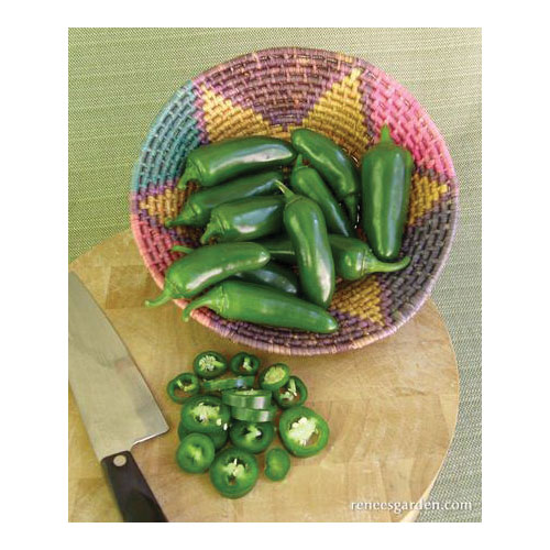 Vegetable Seed, Renee's Garden, Container Chile Peppers Early Flame Jalapenos, 0.18 g Pack - 4