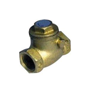 Lincoln 281006 Swing Check Valve, 1 in, FIP, 125 lb Pressure, Brass Body