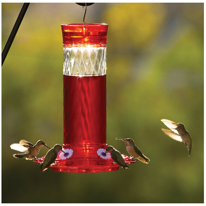 More Birds BIRD HEALTH+ 701 Nectar, Concentrated, Red, 32 oz - 4