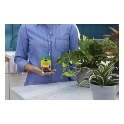 Miracle-Gro 160101 All-Purpose Plant Food, 1 lb Box, Solid, 24-8-16 N-P-K Ratio
