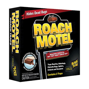 Black Flag HG-11020 Roach Motel Trap, Solid